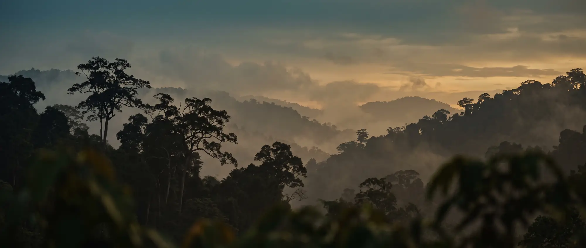 Layered forested ridgelines receding into haze at dusk under a deep amber sky.