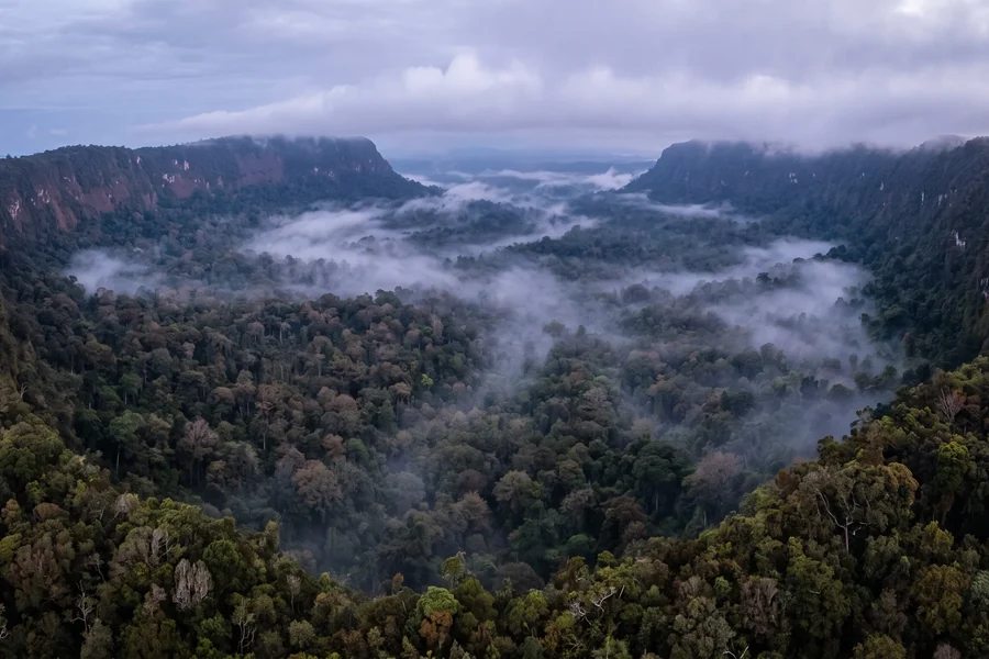 A vast near-circular forested basin at dawn, ringed by an escarpment wall with mist pooled on the floor below.
