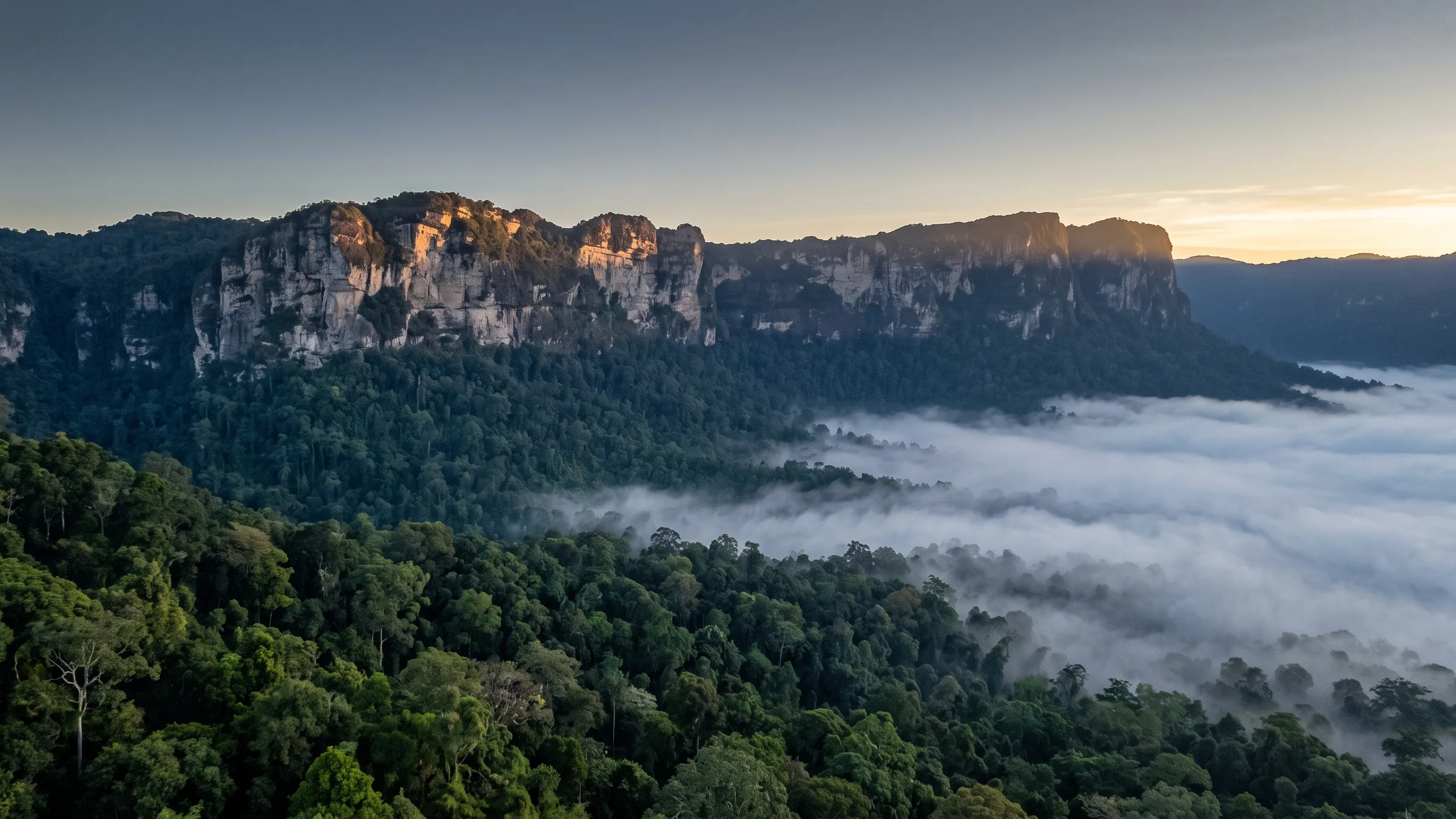 A sandstone escarpment standing above unbroken rainforest, with cloud lying in the valley below it at first light.