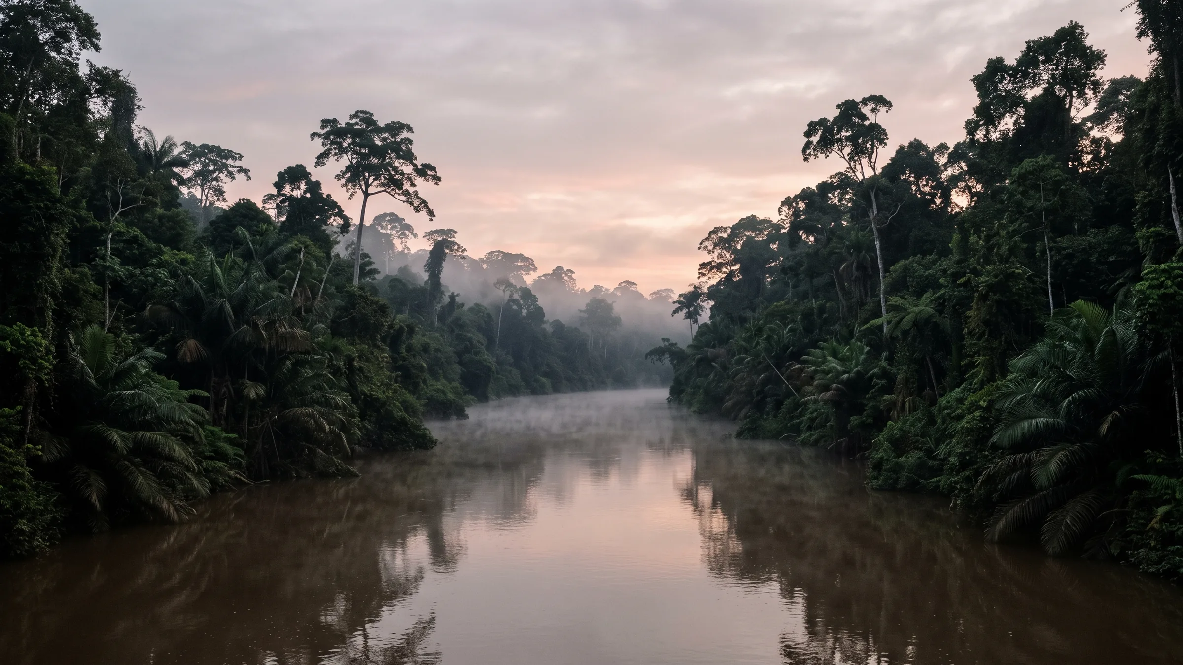 A wide brown river at dawn, mist lying on the water, dense forest along both banks.