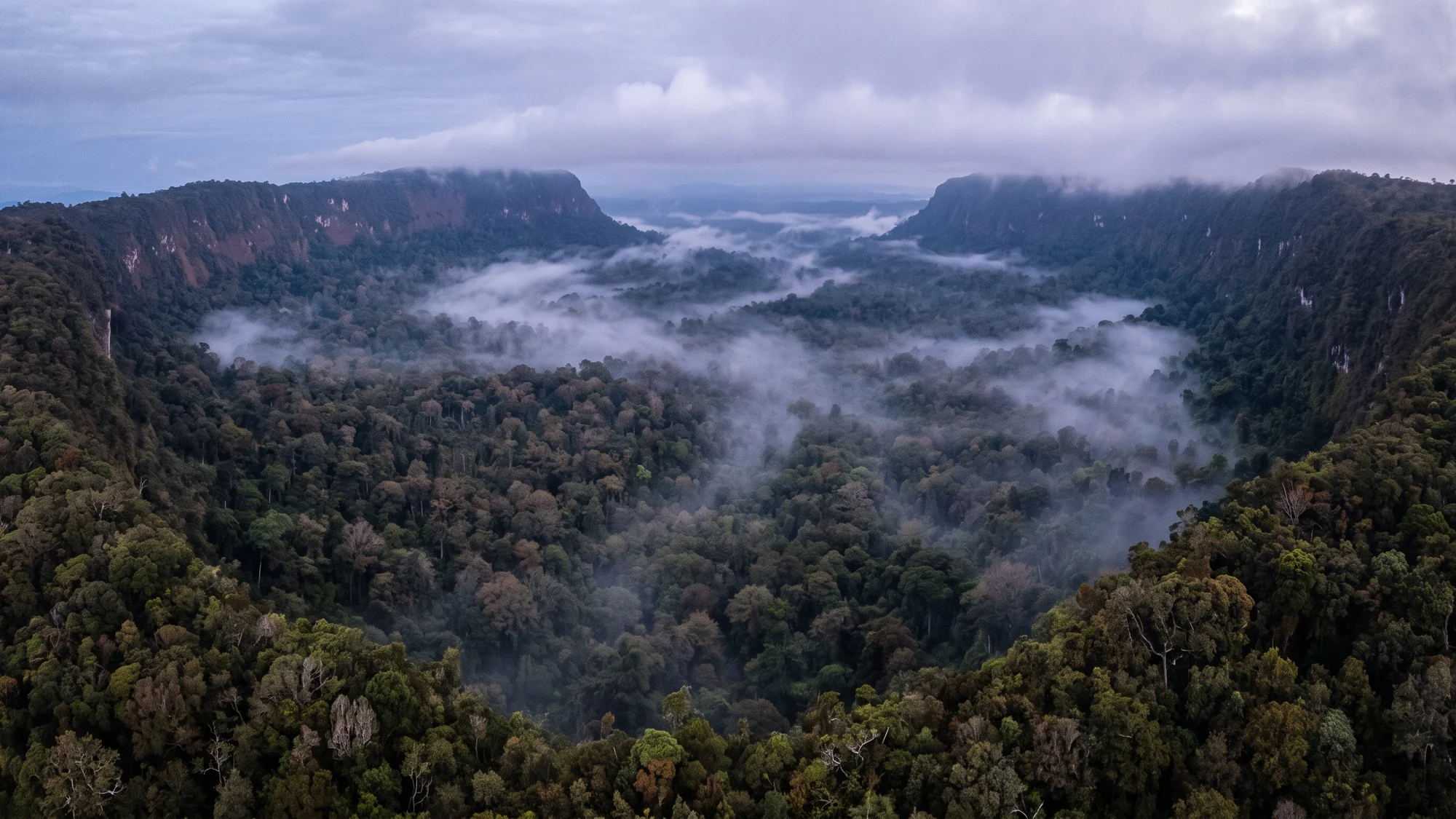 An enormous near-circular forested basin at dawn, ringed by a continuous escarpment wall, with mist pooled on the floor far below.