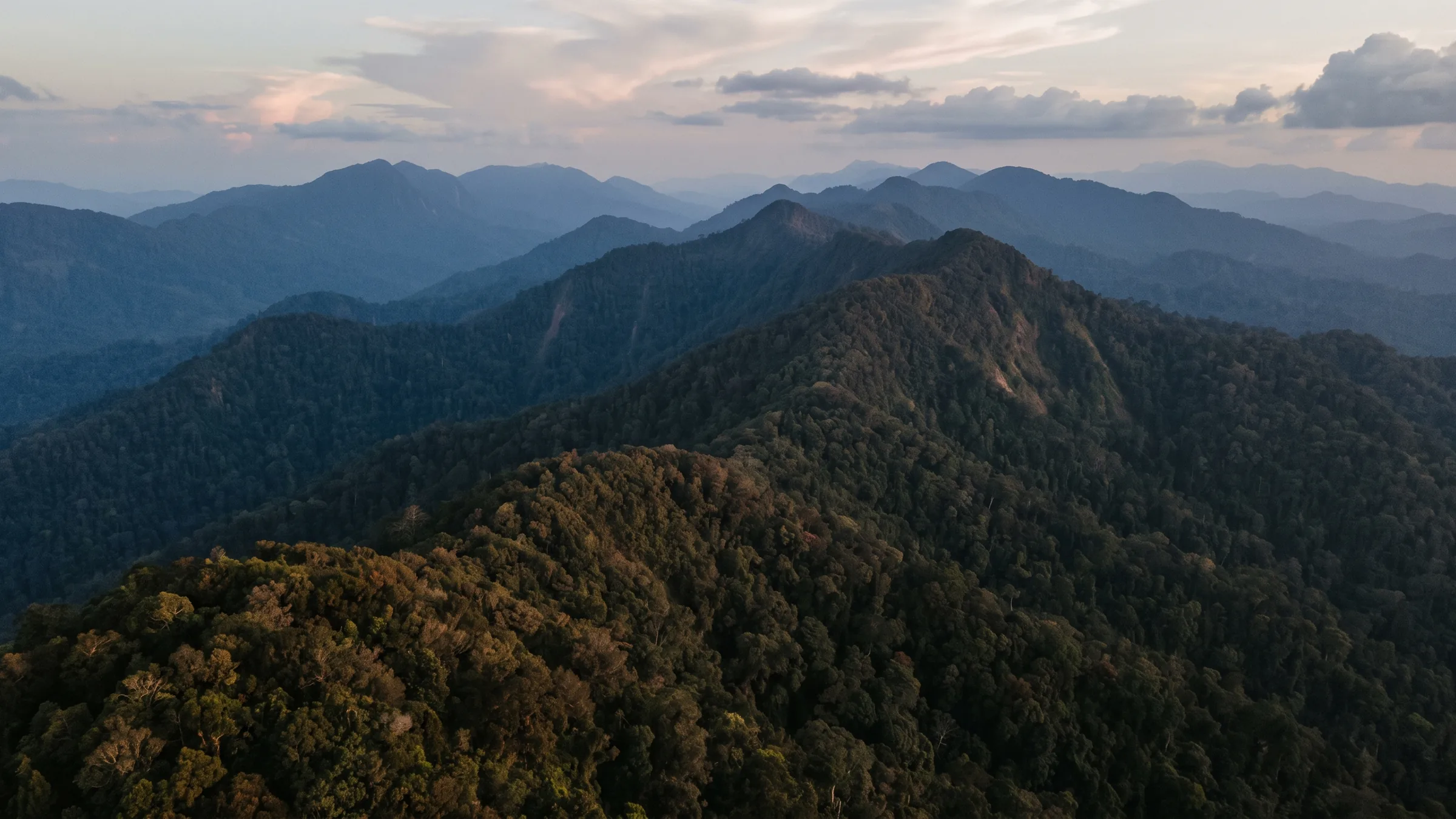 Ranges of steep forested ridges receding one behind another into haze at dusk.