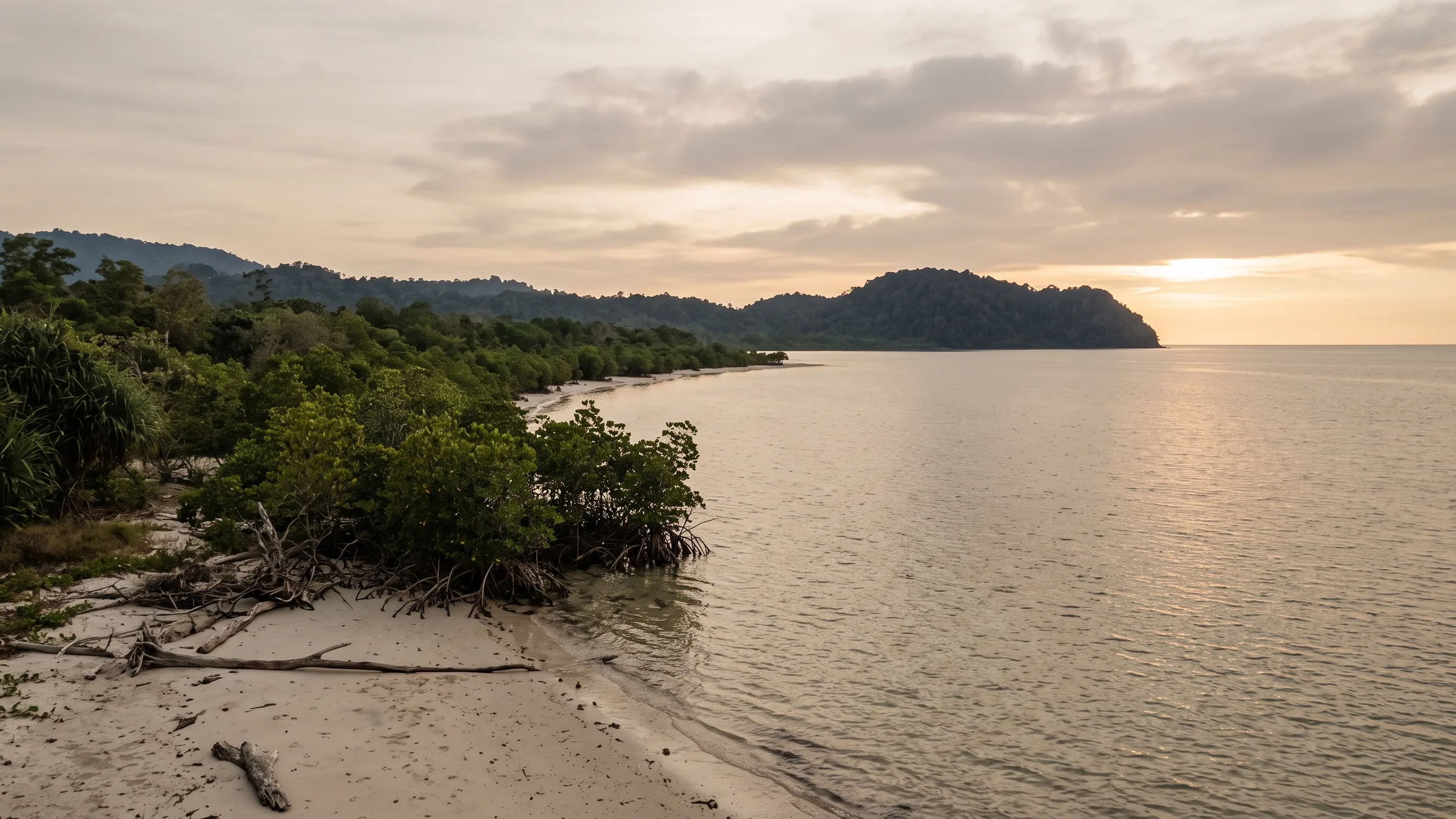 A quiet coastline at dusk — shallow calm sea, pale sand and low mangrove along the shore.