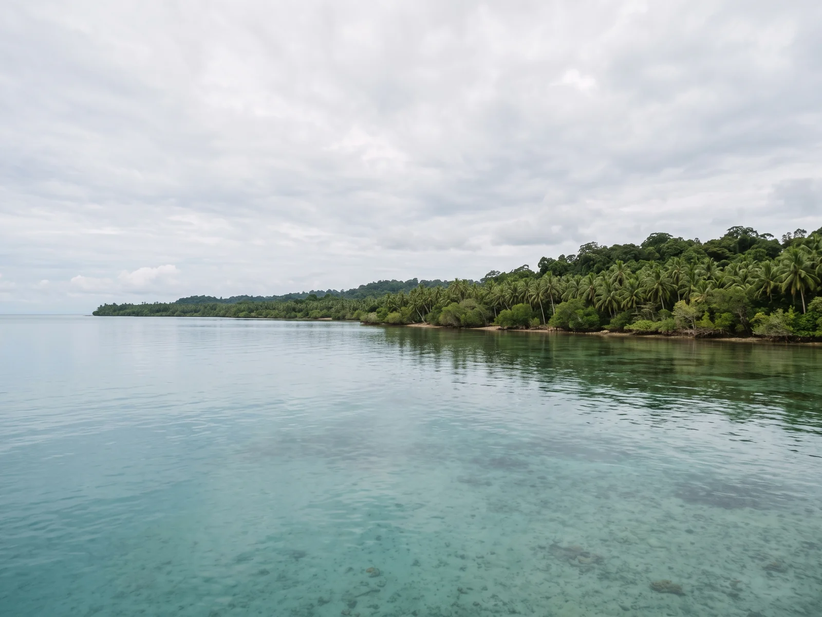 A low green shore of coconut palms and scrub seen across shallow turquoise water under soft overcast light.